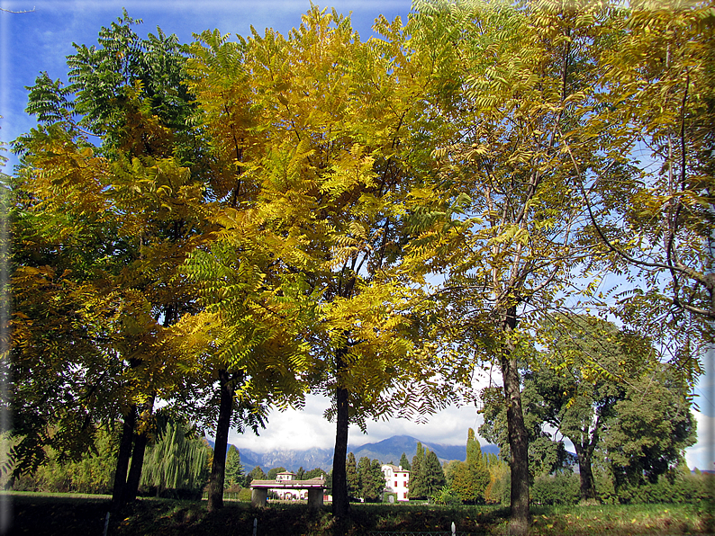 foto Paesaggi Autunnali tra le colline Fontesi